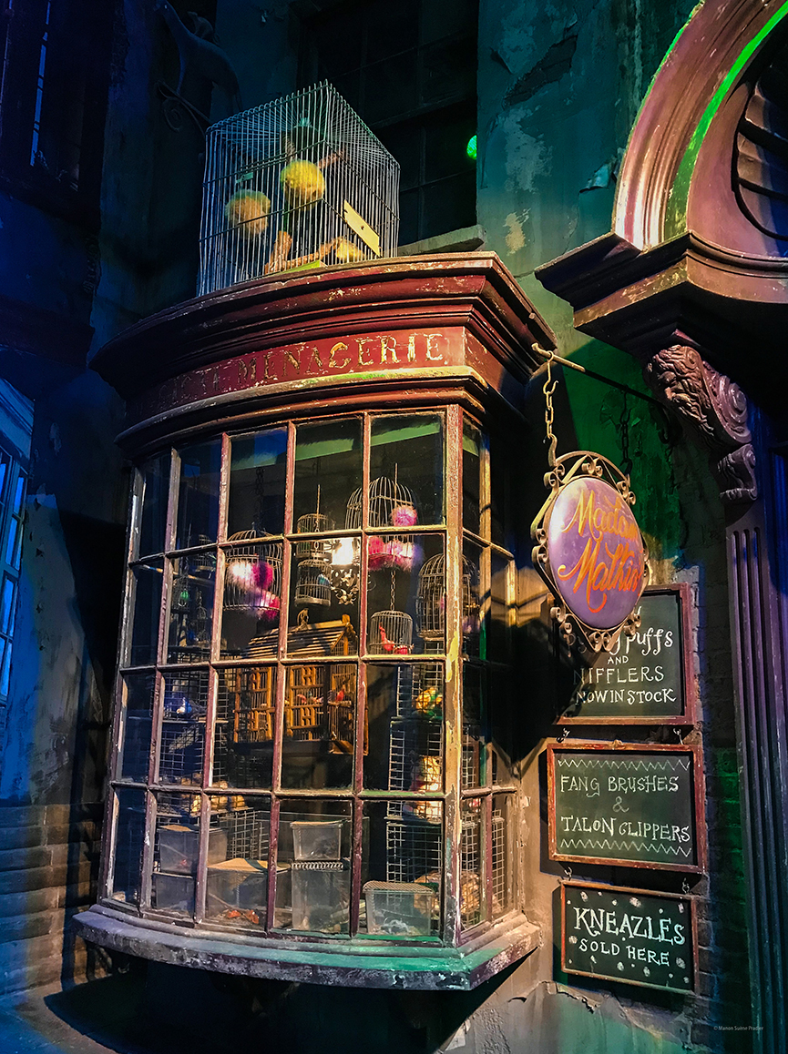 weekend-londres-harry-potter