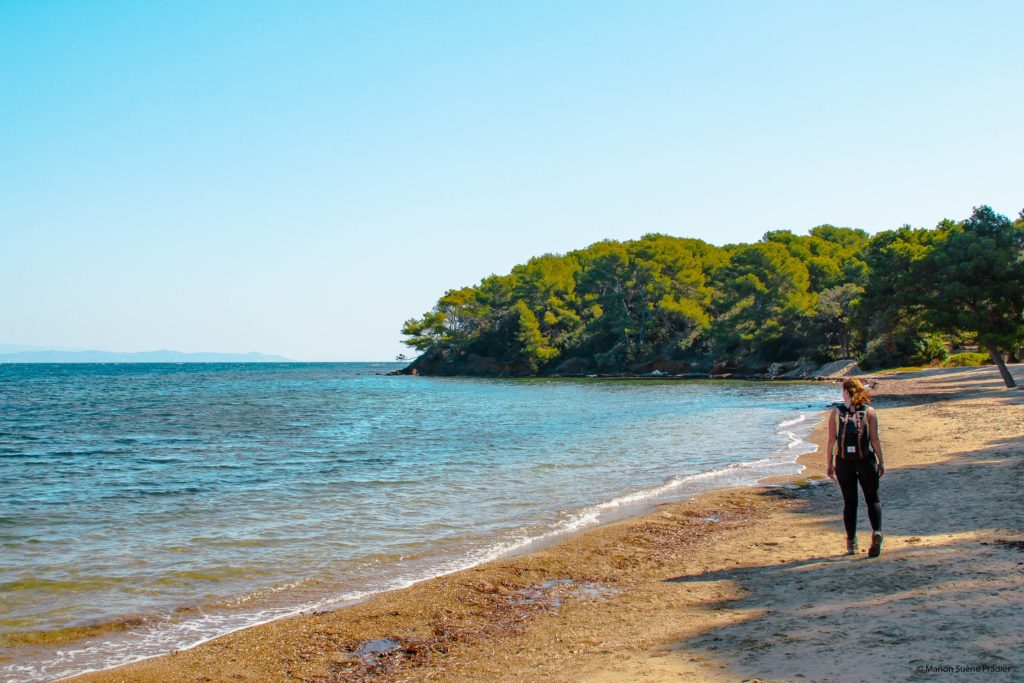 été indien presqu'ile de giens, sentier du littoral