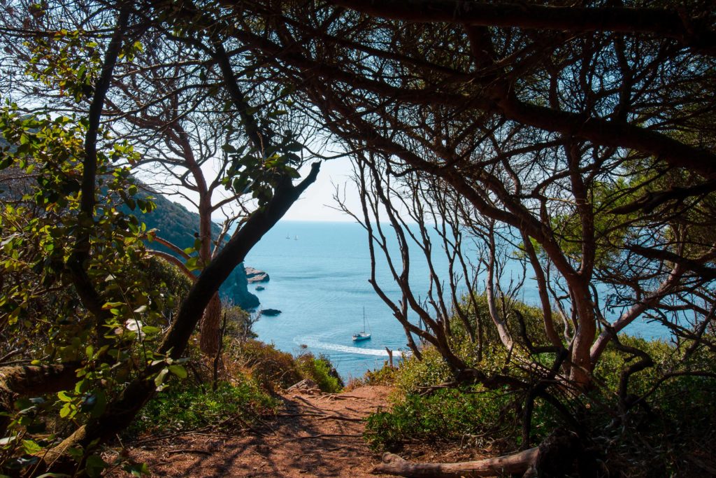 été indien presqu'ile de giens