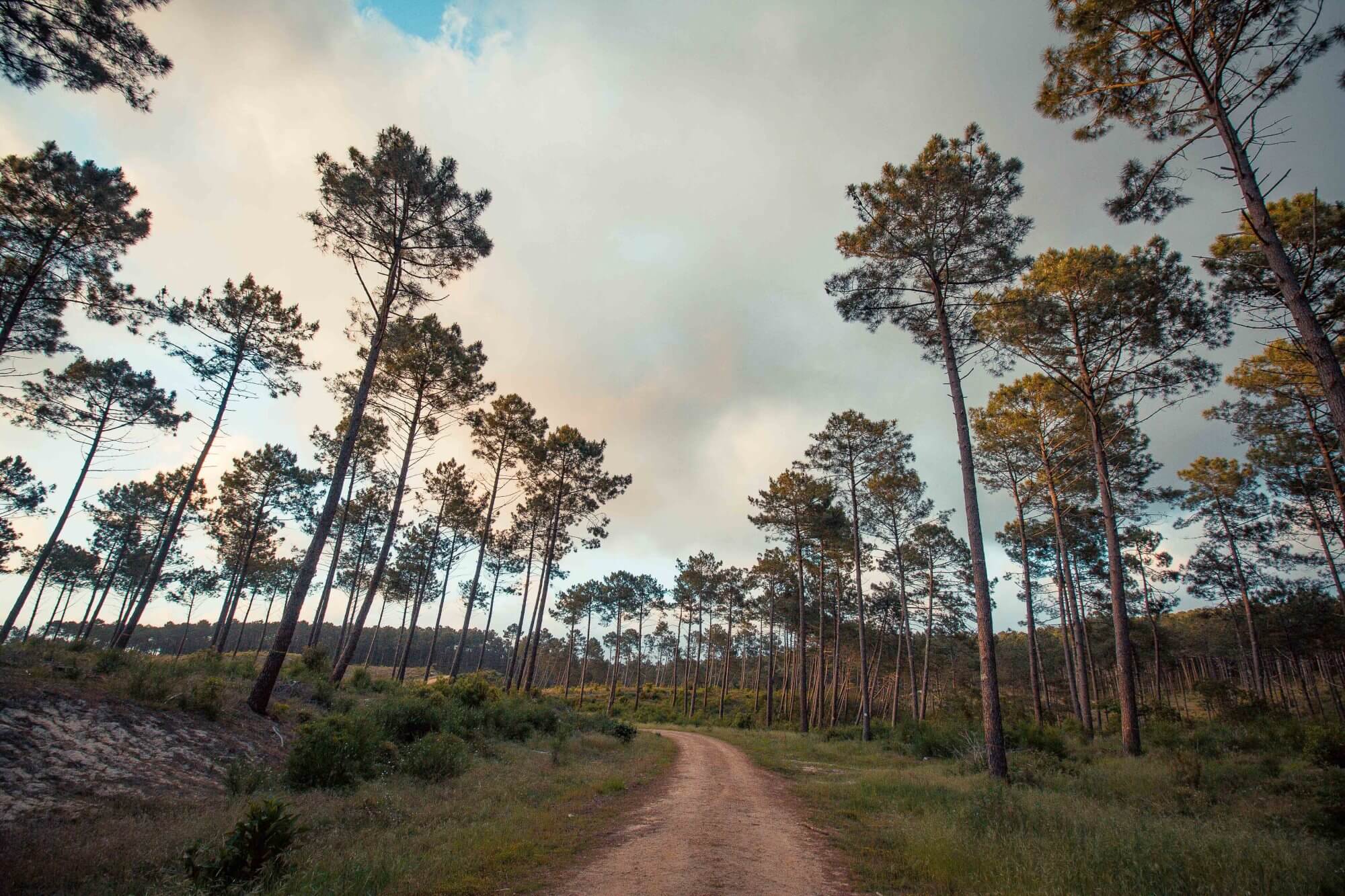 road-trip-dans-les-landes-2