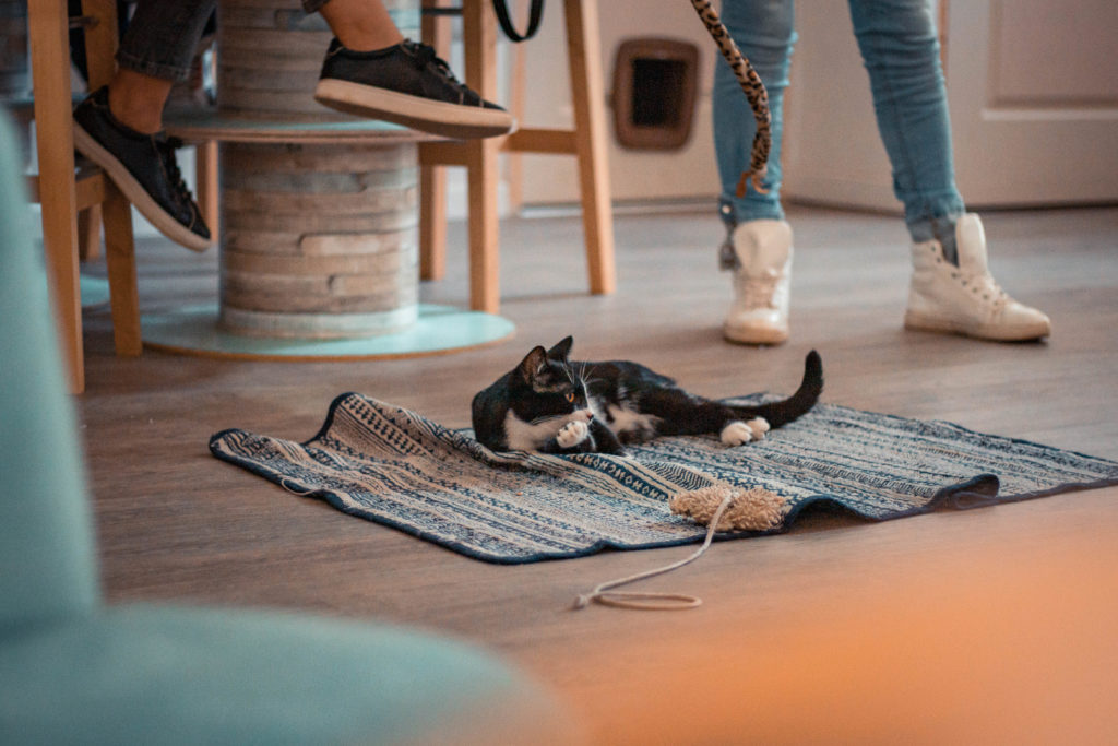 instant chat hyères