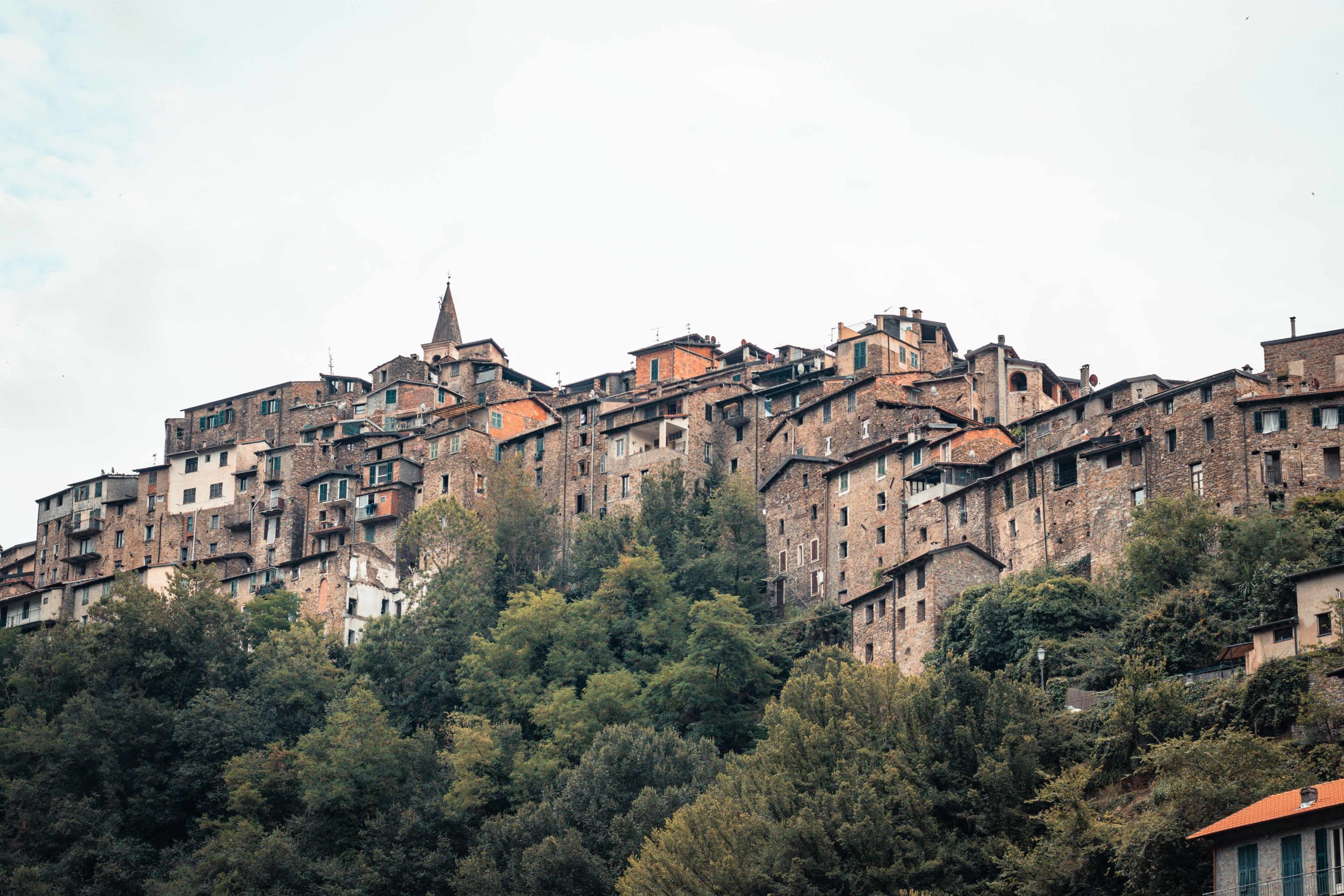 visiter-apicale
