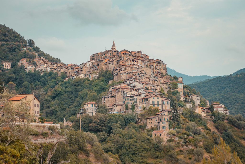 visiter-apicale