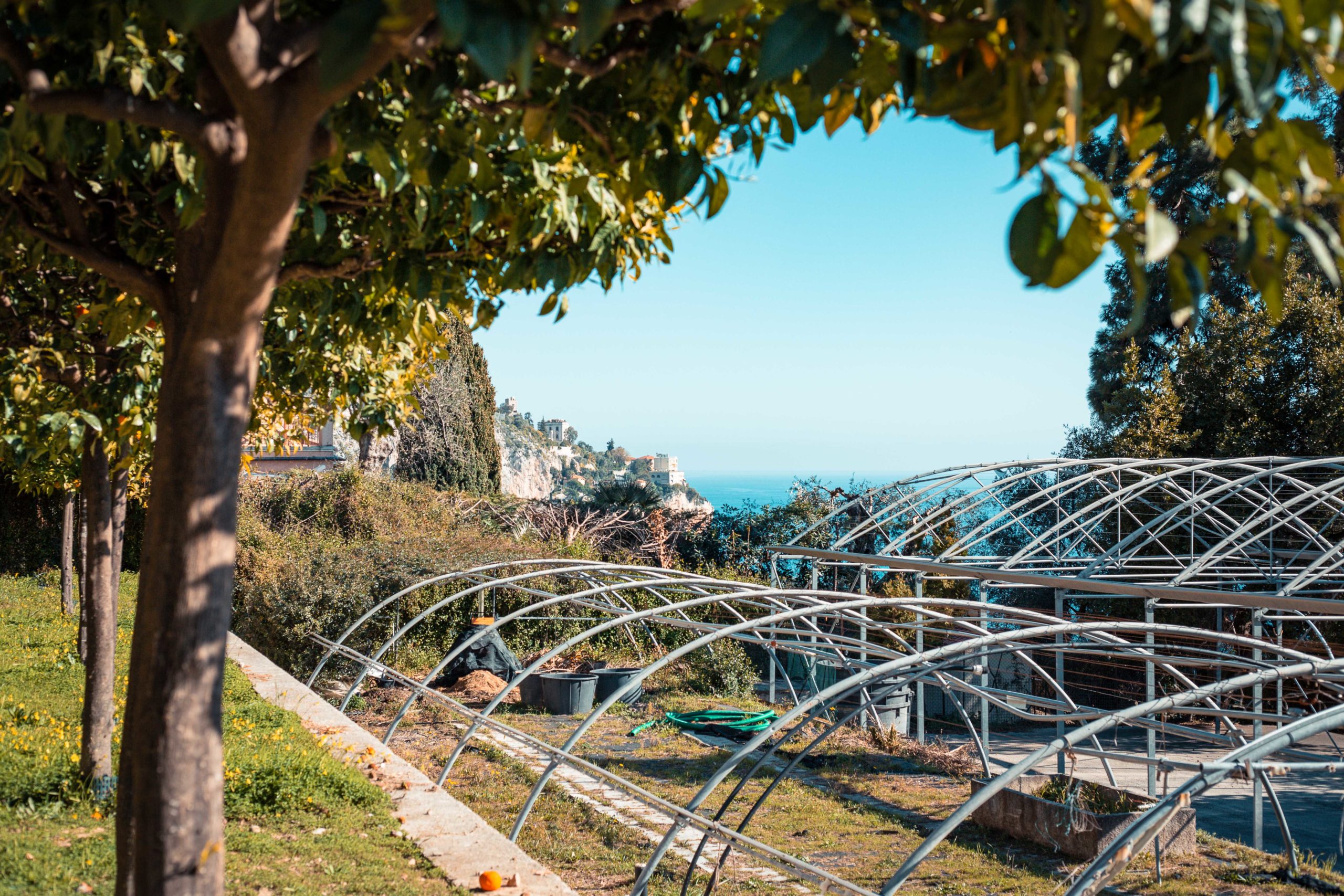 la-fete-du-citron-a-menton