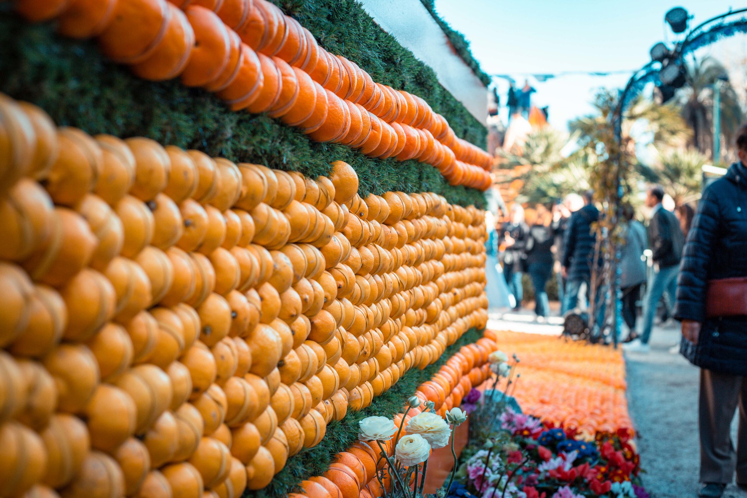 la-fete-du-citron-a-menton