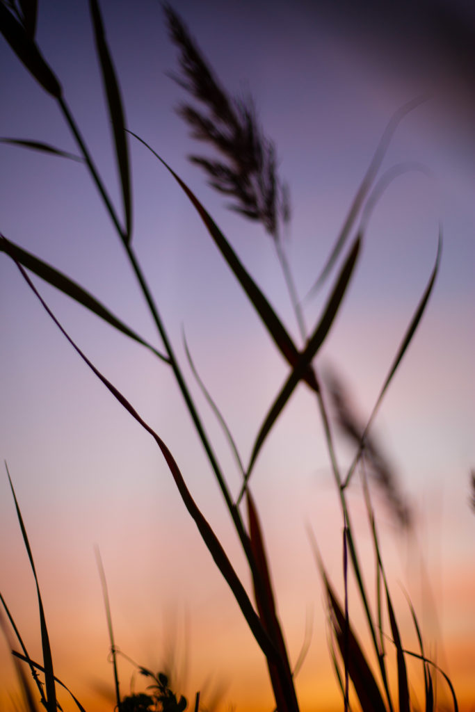les-bases-de-la-photographie