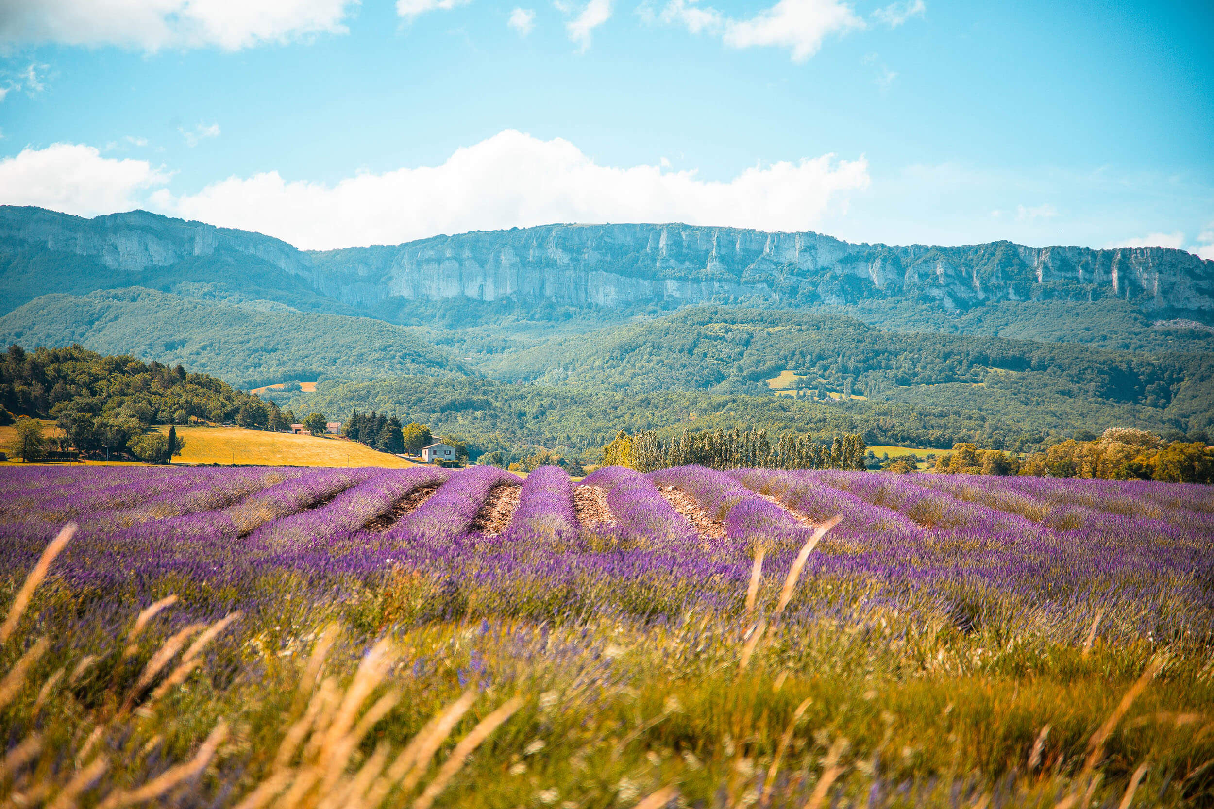 Road trip dans la Drôme provençale avec Scoot Nomad