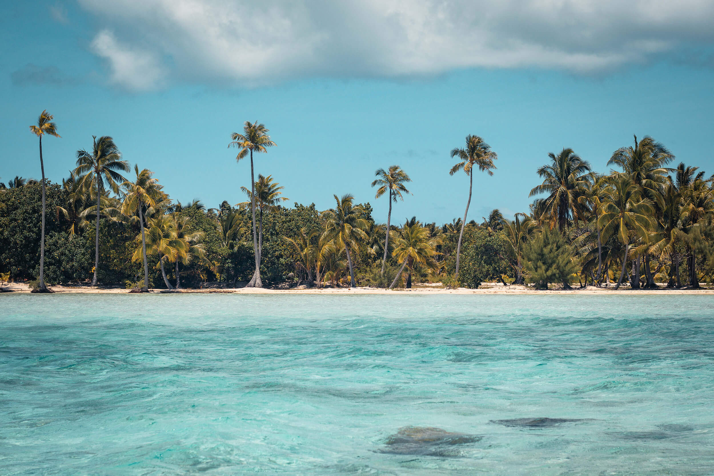 Quels souvenirs ramener de Tahiti ?