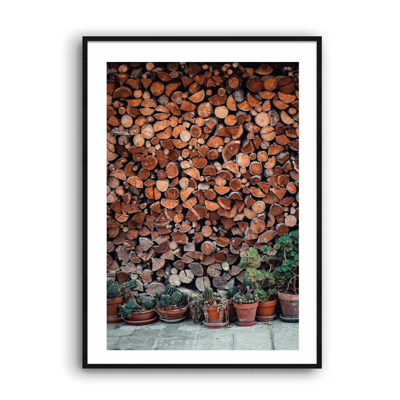 bois_annecy_manon_suene_pradier