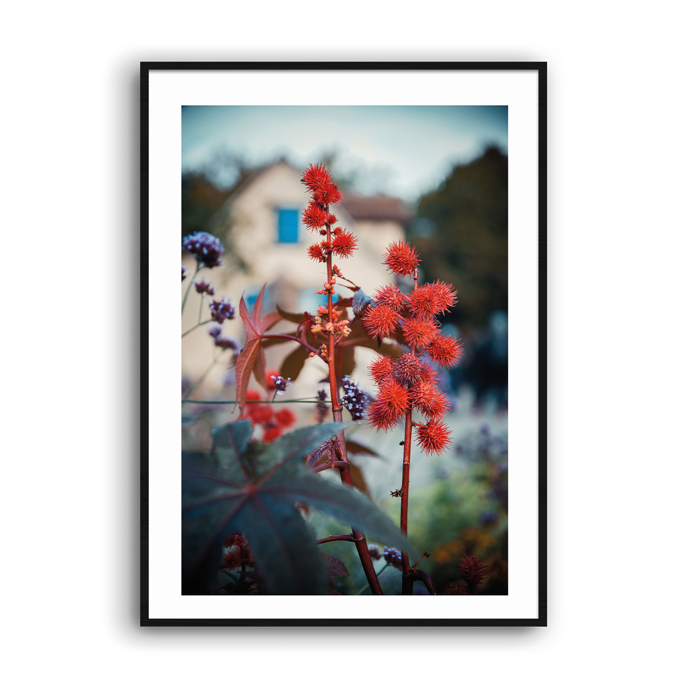 eco_musee_alsace_2_manon_suene_pradier
